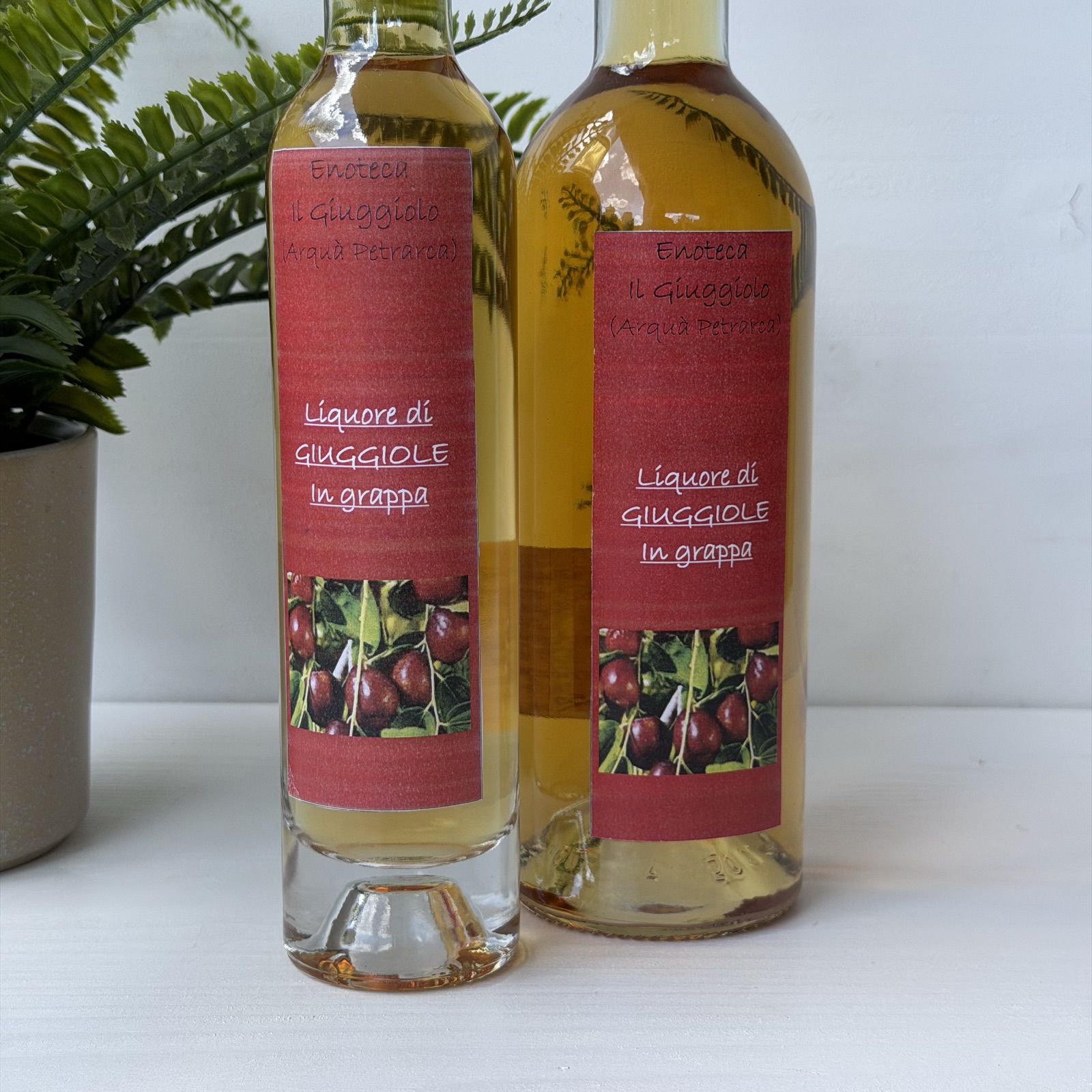 Bottiglie di liquore di giuggiole in grappa da 0,2 e 0,5 litri