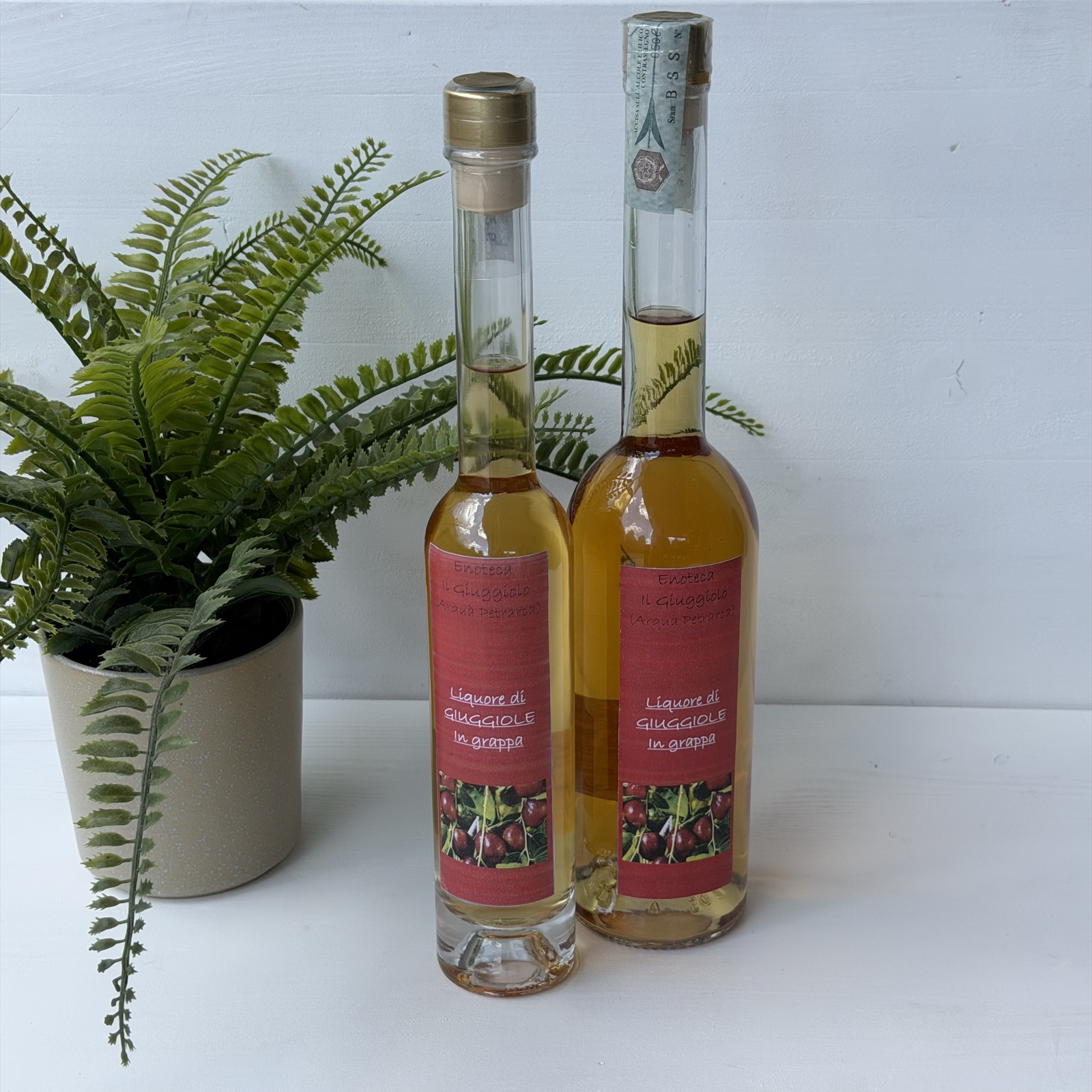 Liquore di giuggiole in grappa dell'Enoteca Il Giuggiolo